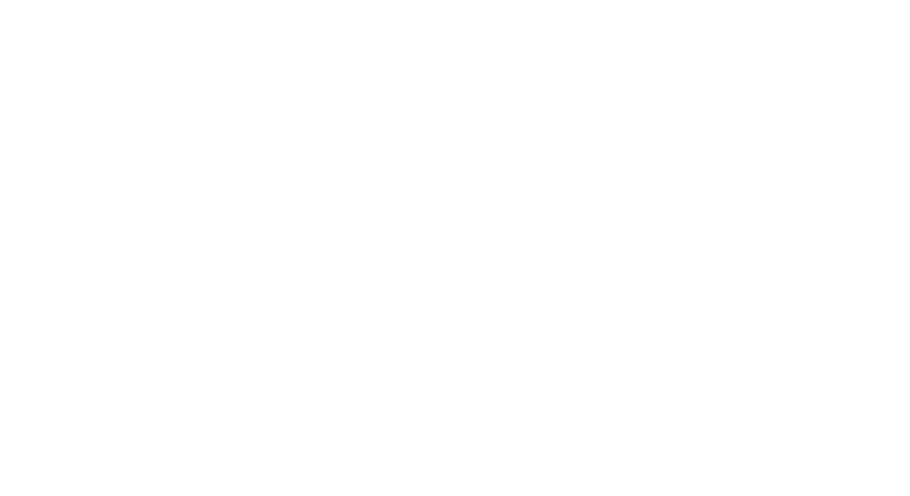 NL Actief