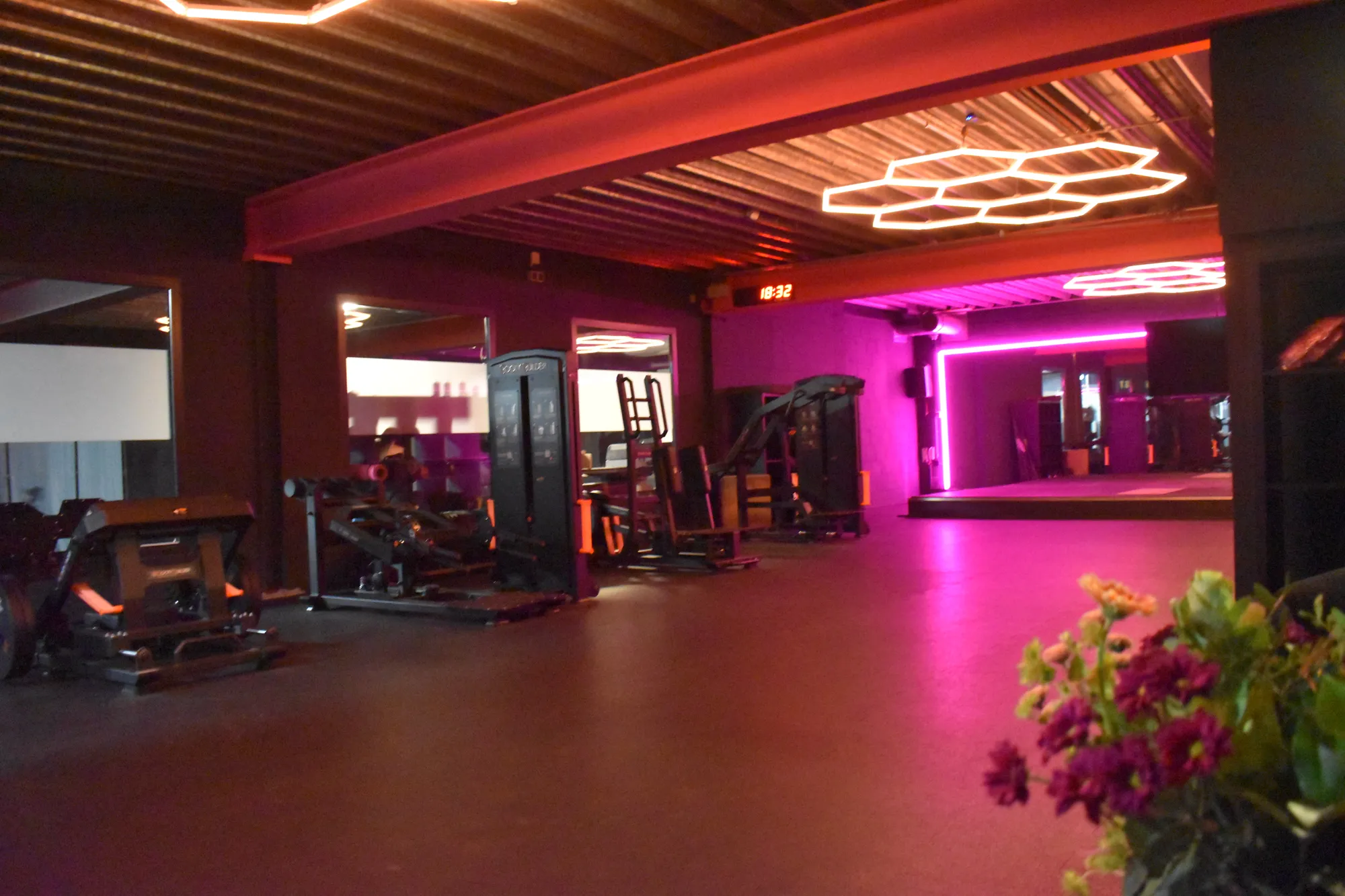 De Dreambody Lab-studio met roze neonverlichting
